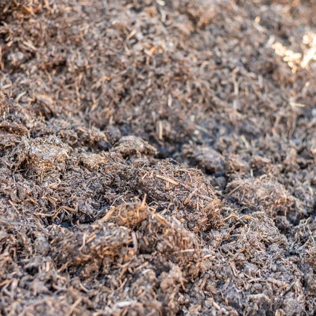Cottonseed Hulls 98% Fiber Rich Roughage Ingredient For Livestock Feeding Systems And Nutritional Formulations - Image 4
