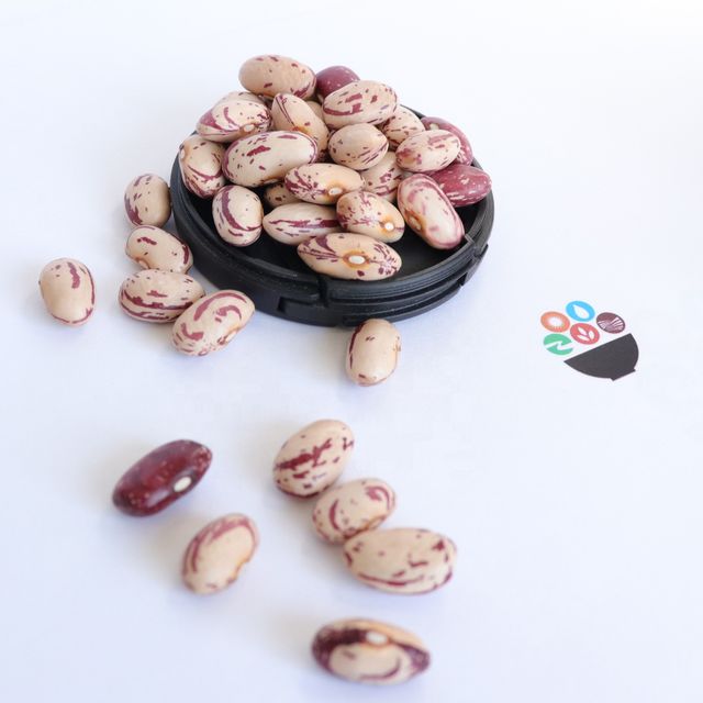 Wholesale Cranberry Jugo Red Speckled Kidney Beans Sugar Pinto Beans For Canned Food - Image 4