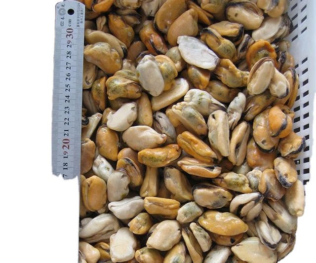 Hot Sale Chinese Seafood Boiled Frozen Mussel Meat with shell or half shell or without shell - Image 1