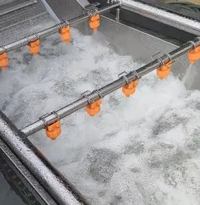 Industrial Vegetable and Fruits Pretreatment Processing Machine Bubble Cleaning Equipment - Image 6