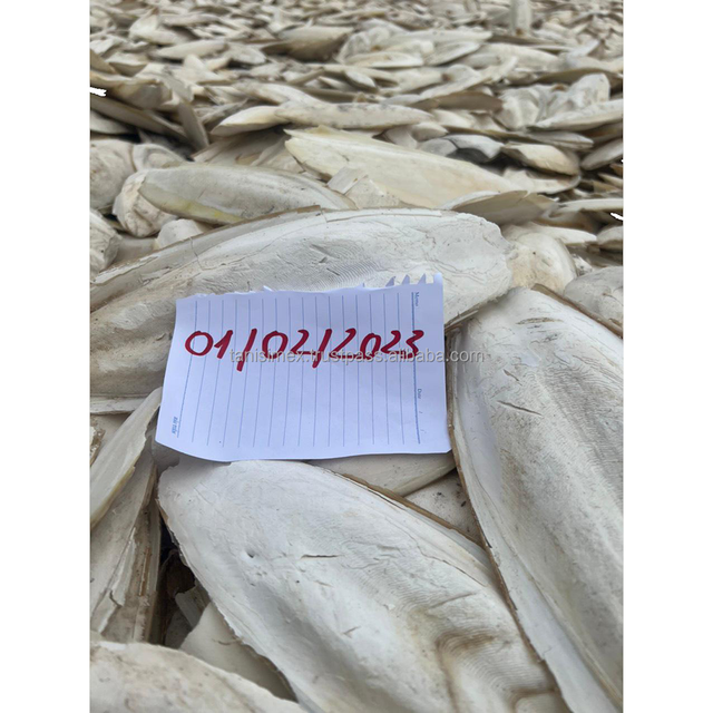High quality Dried Cuttlefish bone for Pet food from Vietnam exporters - Image 3