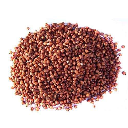 sorghum Origin India Product Type Cereals & Cereal Products Features Gluten-Free, Lactose-Free, Vegan - Image 5