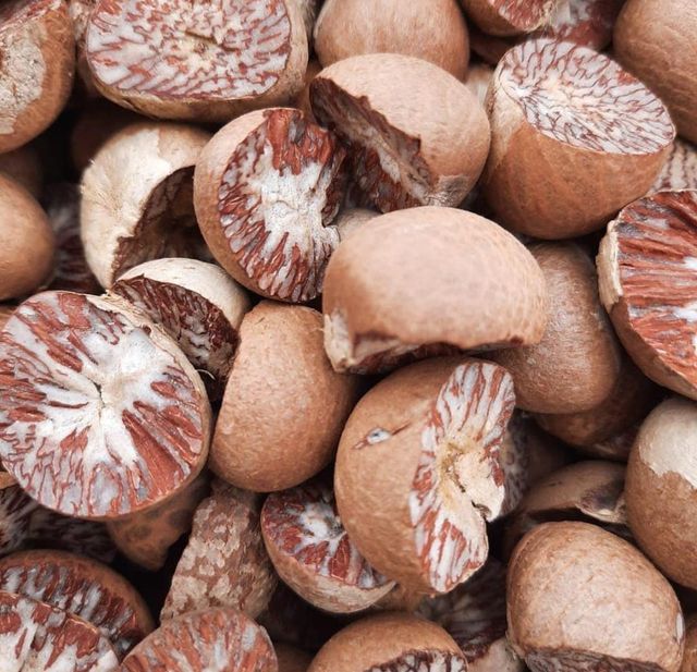 Top Grade Raw Betel Nuts Fresh Natural Quality Buy Today At Wholesale Price For Commercial And Retail Business - Image 2