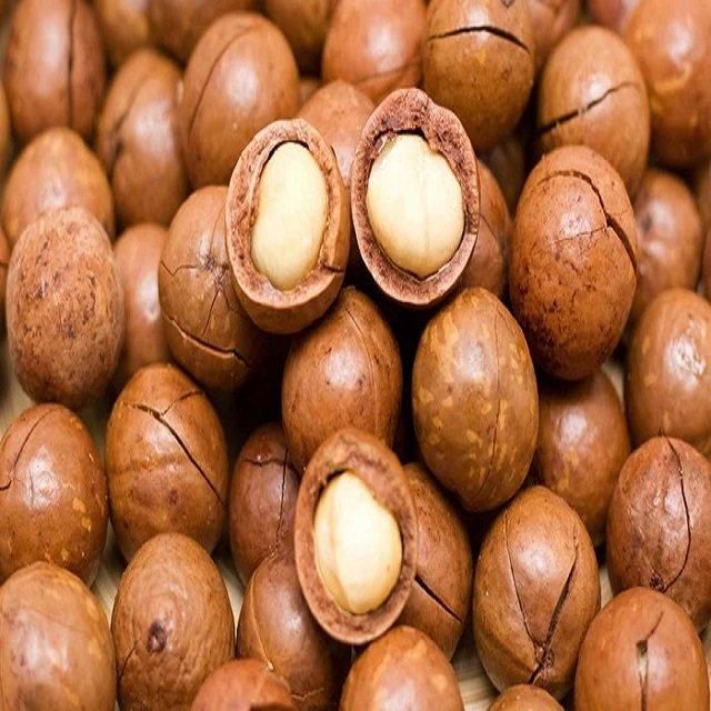 Best Selling Wholesale Natural Dried Macadamia Nuts in Shell Grade One a Healthy Snacks Bulk Pack - Image 4