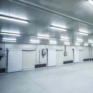 Best Customized Commercial Fruit and Vegetable Cold Room Storage Freezer - Image 5