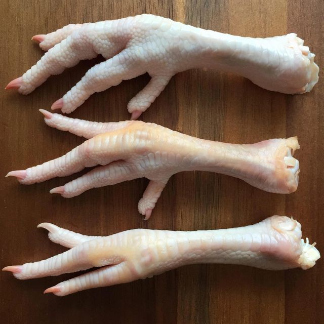 Hot Sale Frozen Chicken Feet High Quality Hygienically Processed Rich in Collagen for Food Processing and Export - Image 1