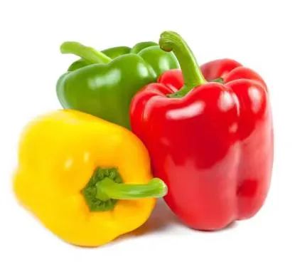 Good Quality Fresh Bell Pepper, Green/Red/Yellow Bell Pepper Type Fresh Shape Round Kind Bell Pepper Packaging Carton Trademark - Image 3