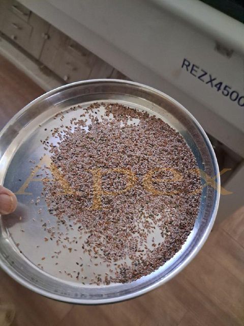 Psyllium Seed ,Psyllium Seeds, Psyllium Husk Seed ,Plantago Ovata, Psyllium , Psyllium Seed Bulk Supplier From India - Image 2