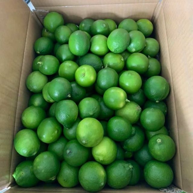 Fresh Lime/lemon Seedless from Vietnam with 100% Organic High Quality and Best Price for export – product photo 5, product detail gallery