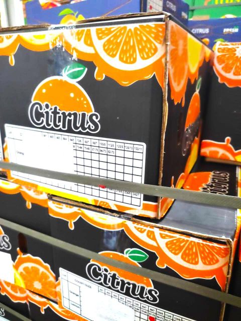 fresh orange - Image 2