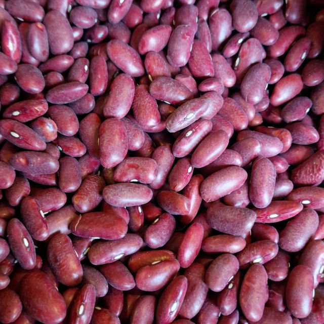 Red Kidney Bean Wholesale Export Product Clean Dried Kidney Bean With Strong Market Demand - Image 2