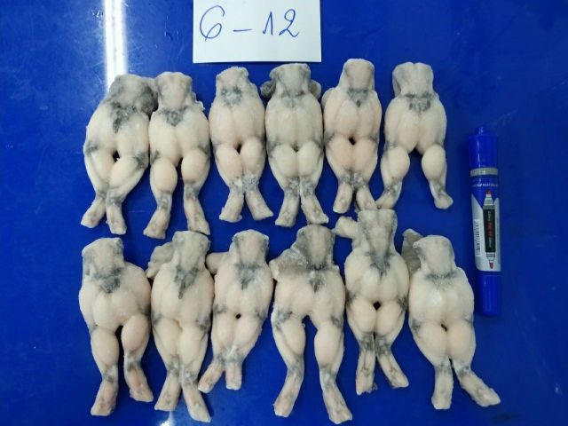 Fresh Skinless Frog Legs from Vietnam bulk packing / vacuum bag IQF - Image 3