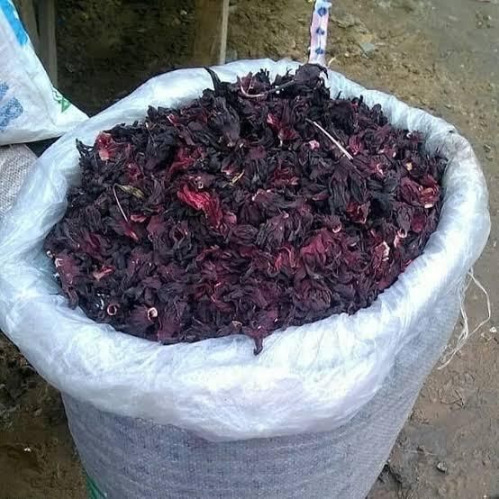 Hibiscus - Image 3