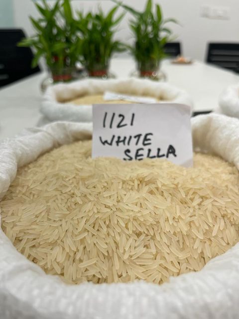 Rice - Image 2
