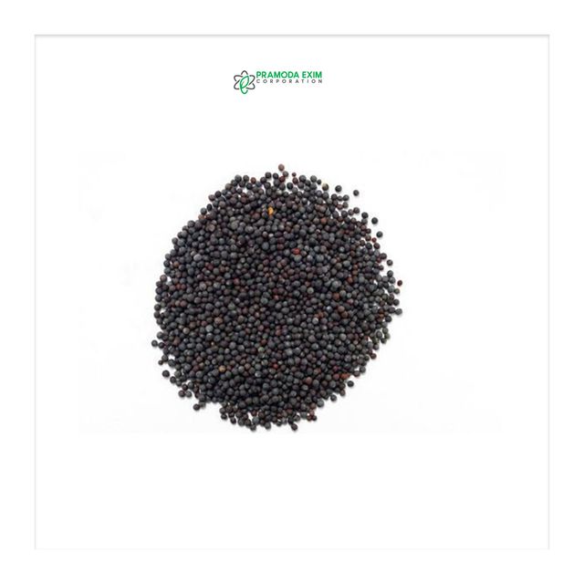 High Grade Natural Black Mustard Single Spices & Herbs From Indian Manufacturer - Image 1