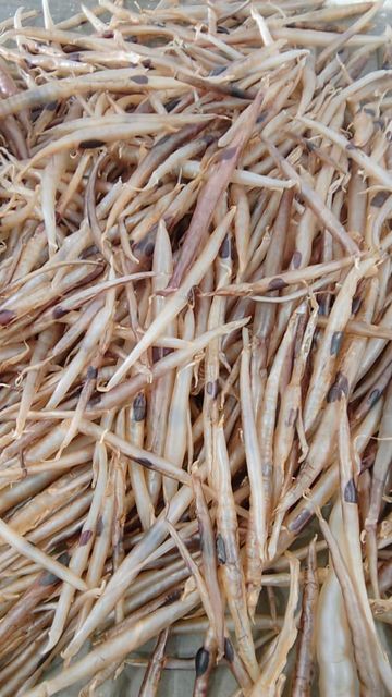 DRIED EEL FISH MAW (30c) Piece Count 750 Weight 25.000 Kg - Image 1
