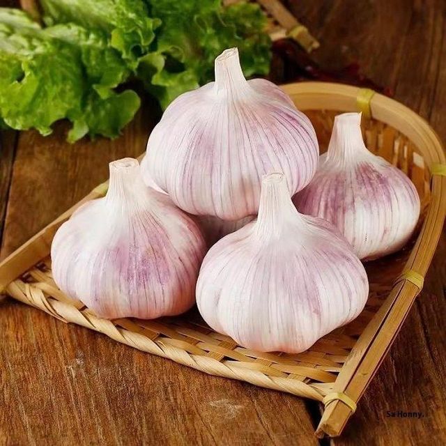Best Price Fresh Garlic for Sale Direct From Organic Farms Ready to Ship In Stock Available with Fast Delivery Buy Today - Image 4