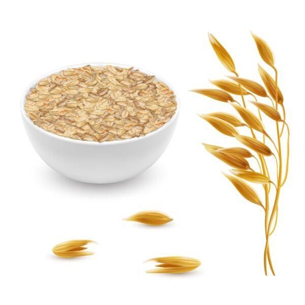 Oats - Image 2