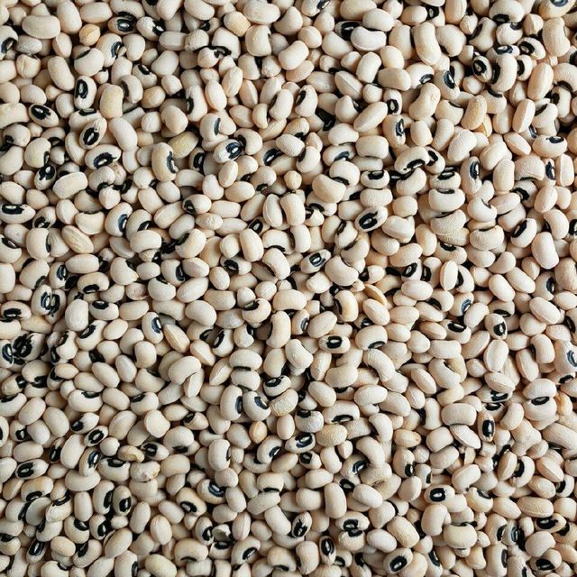 Natural White Kidney Beans Bulk Distribution For Importers Premium Food Ingredient White Kidney Beans Clean Dried Healthy Beans - Image 2