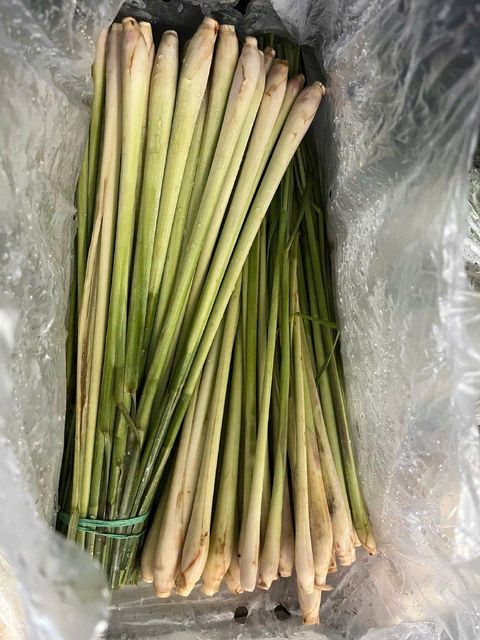 Lemongrass Flavor Lemony Aroma Fresh Citrus Origin National, Regional Essential Oil Content High Vegetable Type Root Vegetables - Image 3