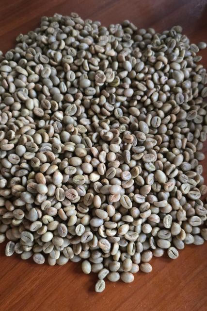 Green coffee bean - Image 3