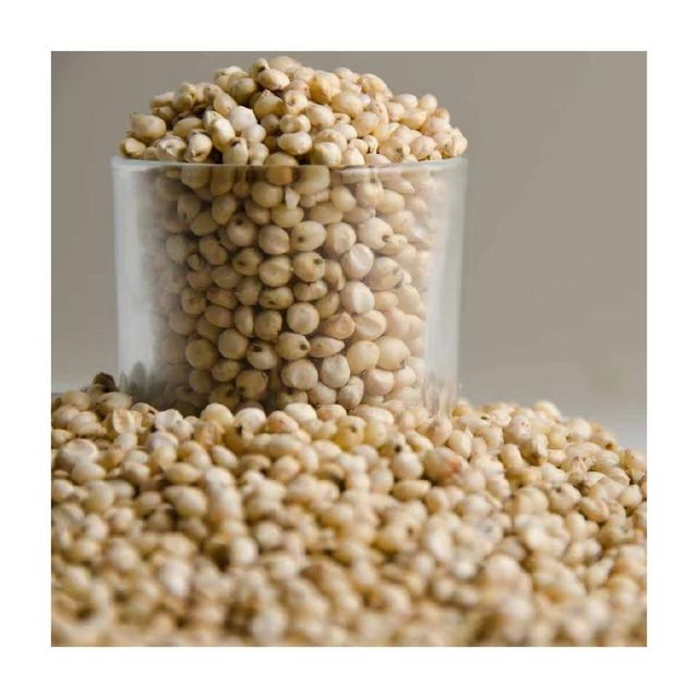 Wholesale sorghum grains bulk stock available with quality certification - Image 3