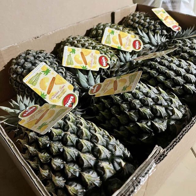 Fresh Pineapple Grade Premium Brix Level 15 Up Place of Origin Indonesia Fruit Variety Queen Simplex Seasonality All Year Supply - Image 4