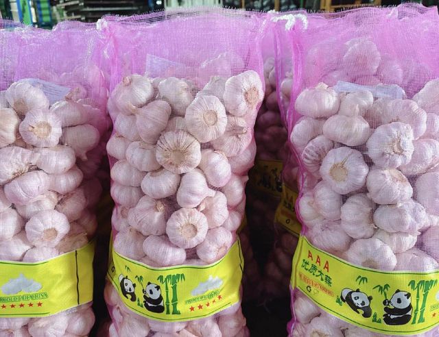 Garlic Chinese Fresh Pure White Garlic for Wholesale Fresh Vegetables in 20kg Mesh Bags/cartons Factory Price Fresh White Garlic - Image 4