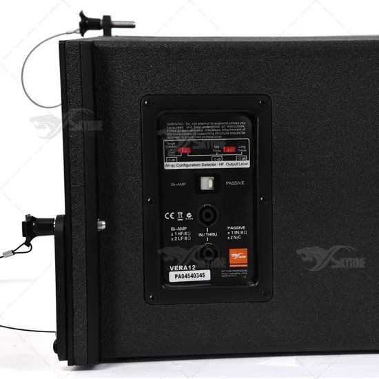 Vera12 Professional Stage Speakers Line Array DJ Sound System - Image 5