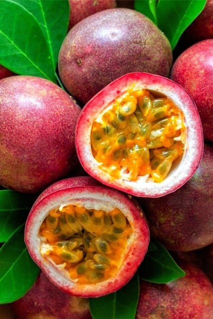 Frozen Passion Fruit Pulp Shelf Life - Image 4