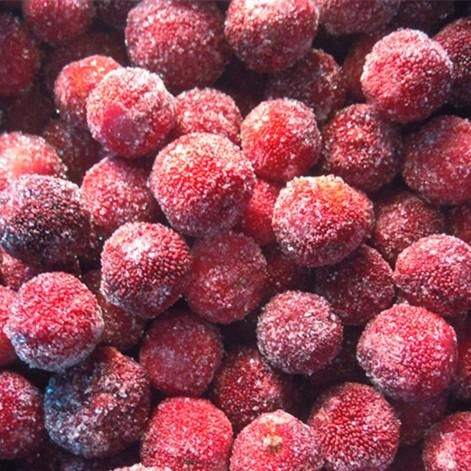 Fresh IQF Frozen Waxberry Bayberry-Premium Quality Grade a Port Xiamen Origin Longhai Storage Type Frozen Fruit Type Waxberry - Image 2