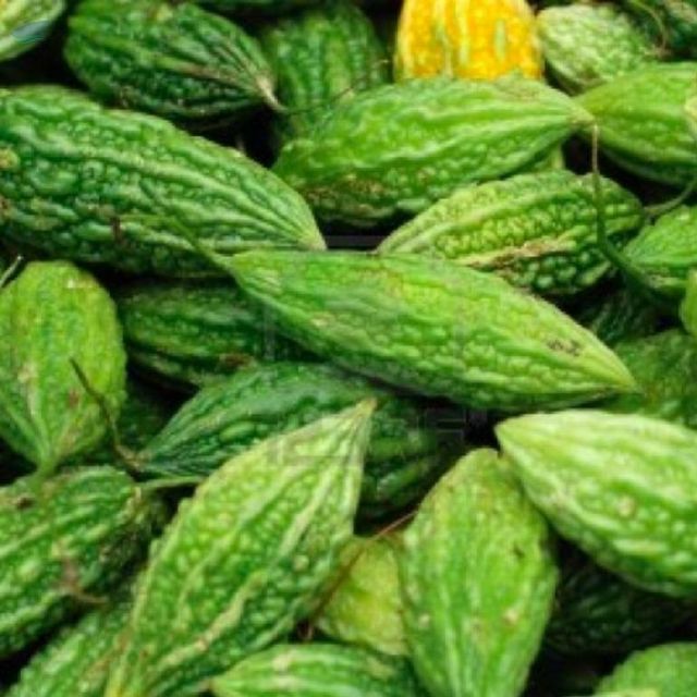 Fresh Bitter Gourd Purity High Texture Dry Color Varied Shelf Life Long Term Origin Sambhal, India Flavor Profile Spicy, Earthy, - Image 1
