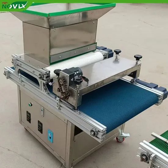 Intelligent Horticulture Seeding System with Full-Process Tray Handling Automation - Image 4