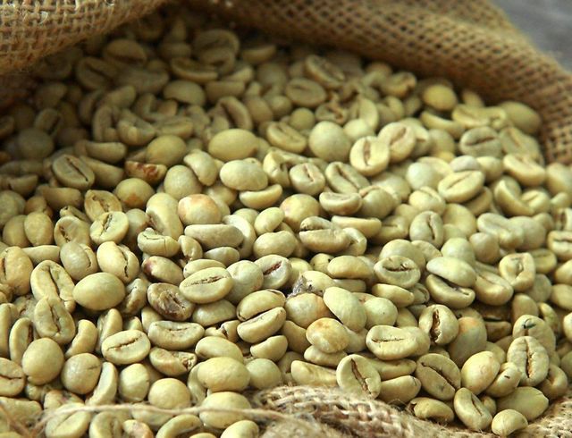 Wholesale Organic Bulk Roasted Coffee-Premium Grade 100% Pure Arabica Beans with High Purity and Price - Image 2