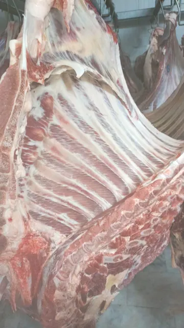 100%  Fresh Chilled Bull Beef - Image 7