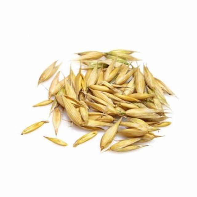 Premium Barley Grain For Wholesale Buyers High Quality Barley Grain Packed Fresh For Global Export And Bulk Orders - Image 3