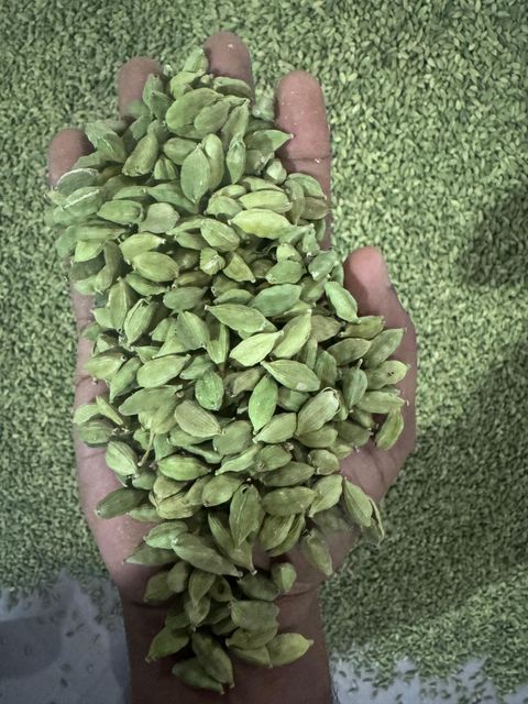 Alappy Green cardamom - 7mm-8mm - Image 3