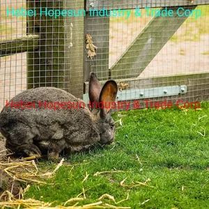 Welded Mesh Green PVC Coated 1Y ISO9001 HOPESUN China 4000RollsWk - Image 4
