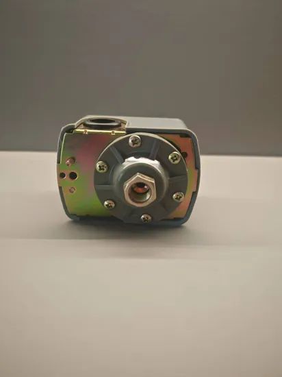 Mechanical Water Pump Pressure Control Switch - Image 3
