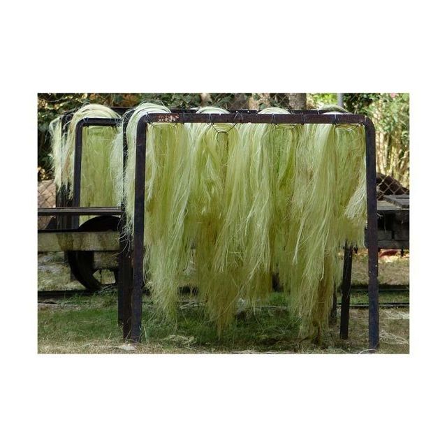 Cheap Sales Of Quality Sisal Fibre Sisal Hemp Natural UG Grade Sisal Fiber for sale - Image 2