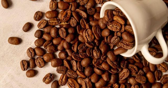 Vietnamese Robusta Coffee Beans Grade 1, Screen 18 (Wet Polished). – product photo 3, product detail gallery