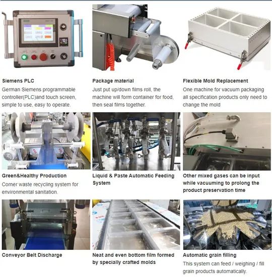 Factory Price Fish Seafood Sausage Cheese Stick Meat Vacuum Thermoforming Packing Machine - Image 4