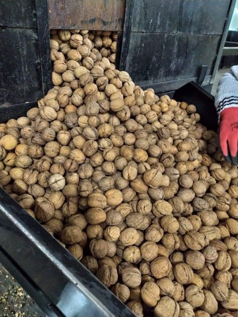 33 Organic In-Shelled Walnuts Top Class Dried Style Half Whole Snacks Bulk Packaging Shell Best Price Raw Walnuts Whatsap +255787979235 - Image 4
