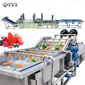 Commercial Fruit Vegetable Processing Line Bubble Washing Drying Sorting Machine for Mango Avocado Date Orange Lemon - Image 1