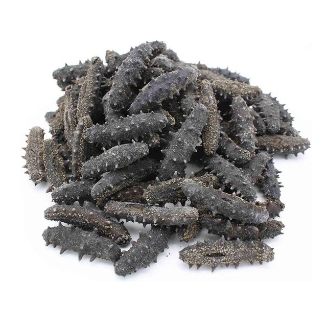Dried Sea Cucumber - Image 3