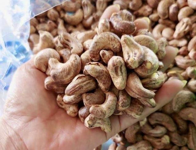 Hot Selling- Raw Cashew Nuts /Vietnamese Cashew Low Price - Wholesale Roasted Cashew Nut Export Free Taxes - Image 5