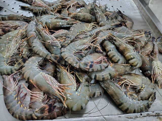 Hot Selling Frozen Black Tiger Shrimps Seafood LQF Process HALAL Certified Skinless Sachet 1kg 18 - Image 5