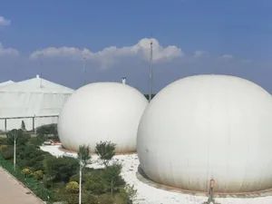 Gas Tank Biogas Storage Tank for Biogas Plant - Image 6