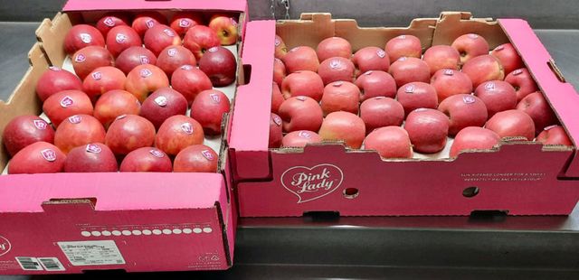 Fresh Pink Lady Apples available Organic Yes Variety Pink Lady Origin South Africa Degree of Processing Fresh - Image 4
