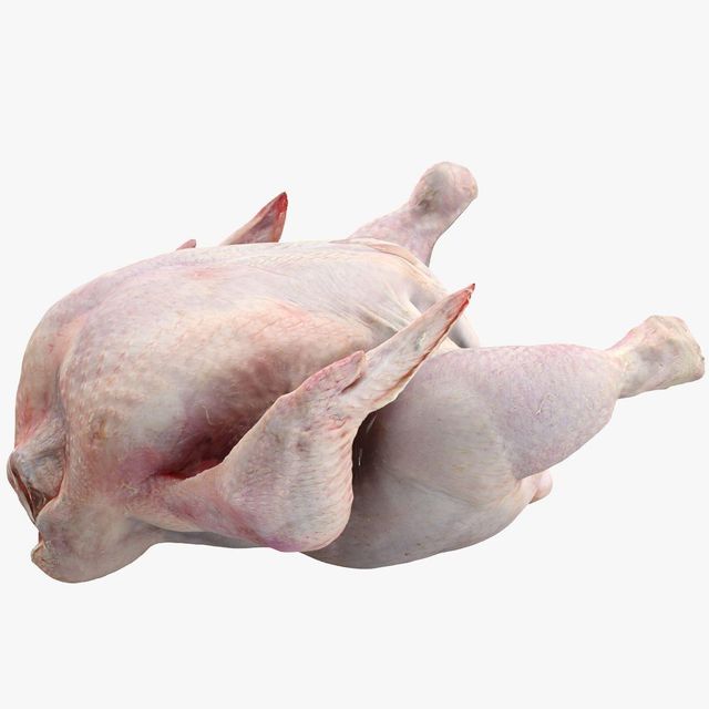 Top Quality Frozen Chicken Bulk Supply Whole Chicken and Parts Tender Juicy Meat for Hotels and Restaurants - Image 3